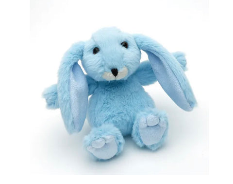 Blue mini bunny