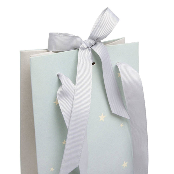 Sophie allport Cosy Christmas Bottle Gift Bag