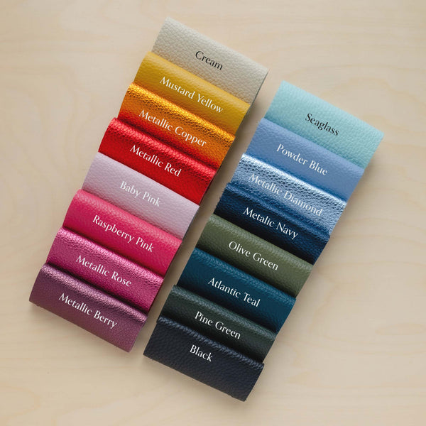 Ailla Leather Clutch Bag