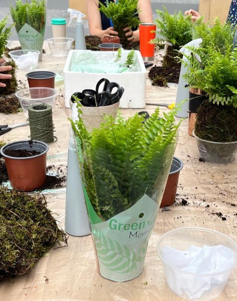 Wimbledon themed plant event - workshop