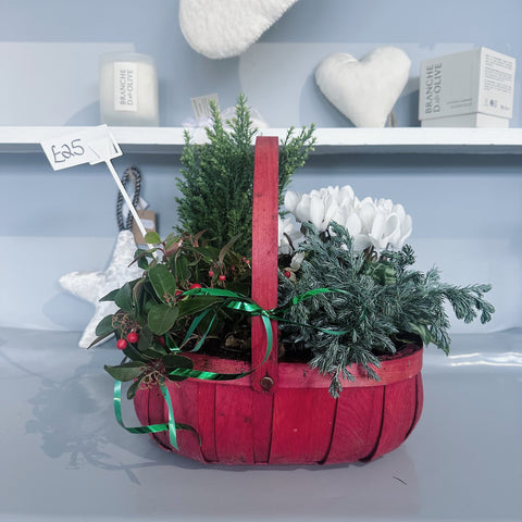 Red Festive Basket Planter