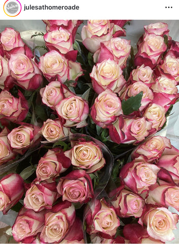 Bunch of 15 florists pink roses
