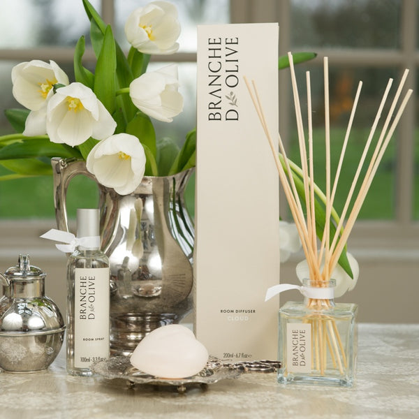 Cloud Reed Diffuser (100ml)