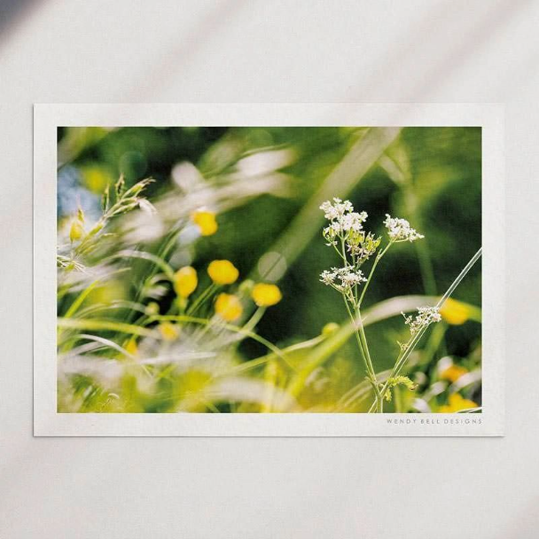 Cow Parsley & Buttercups A4 Print