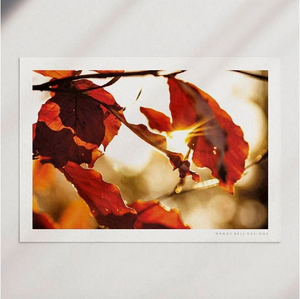 Fiery Autumn Leaves A4 Print