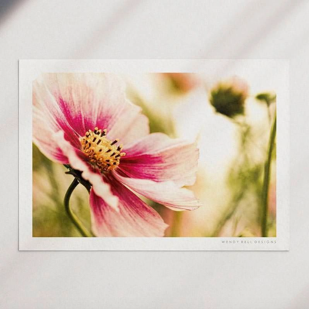 Pink Flower A4 Print