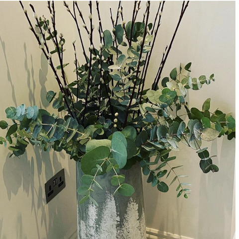 Pussy willow and eucalyptus combo ( vase not included)