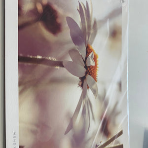 Summer daisy print -UK 30 x 22cm