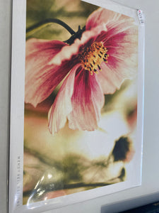 -UK flower print 30cm x 22cm