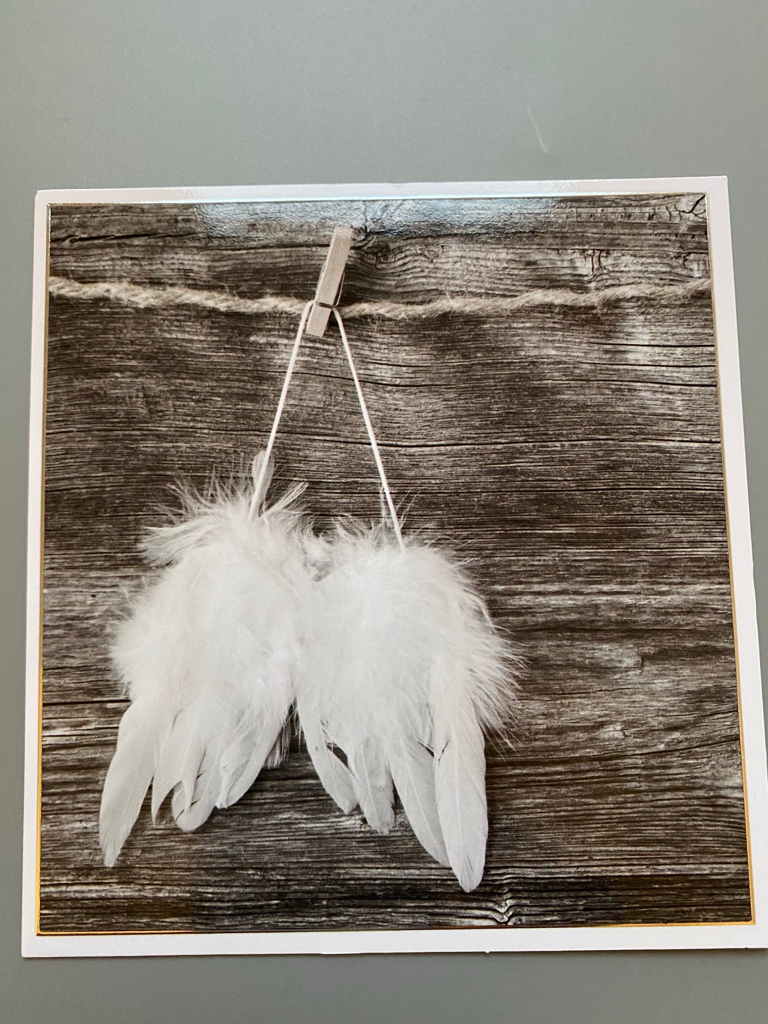 Feathers black and white card
