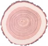 Tree Trunk Paper Placemats (packs Of 10)